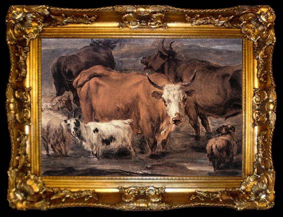 framed  BERCHEM, Nicolaes Animal Study dd, ta009-2